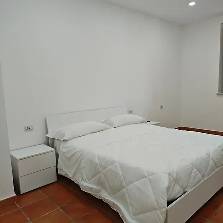 Dream Palomonte